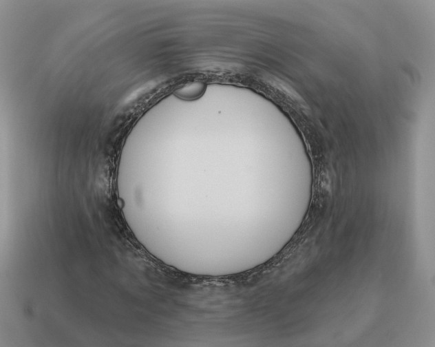 X0000114580869200911091234