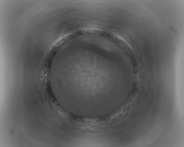 X0000114580870200911091234