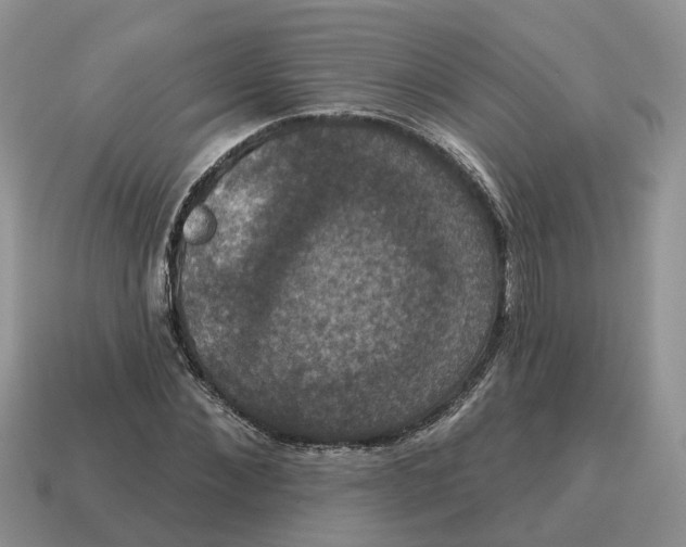 X0000114580876200911091233