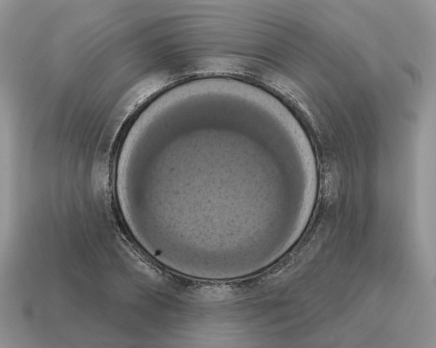 X0000114580882200911091233