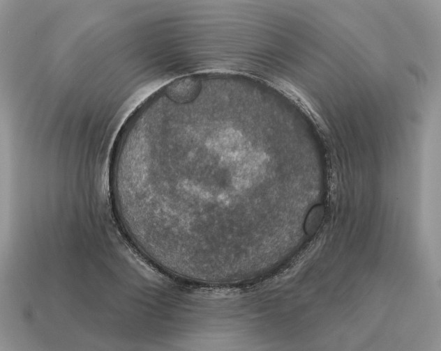 X0000114580884200911091233