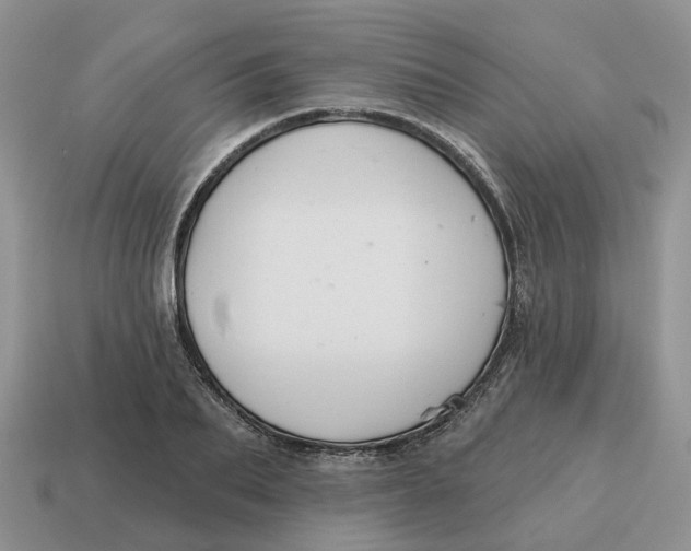 X0000114580887200911091233