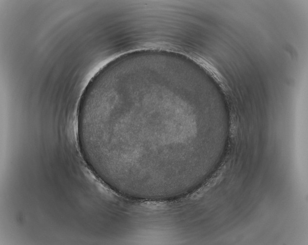 X0000114580888200911091233