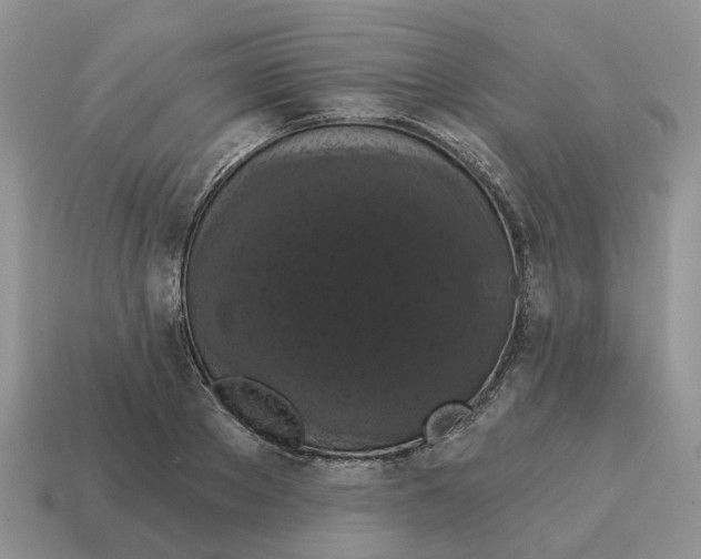 X0000114580889200911091233