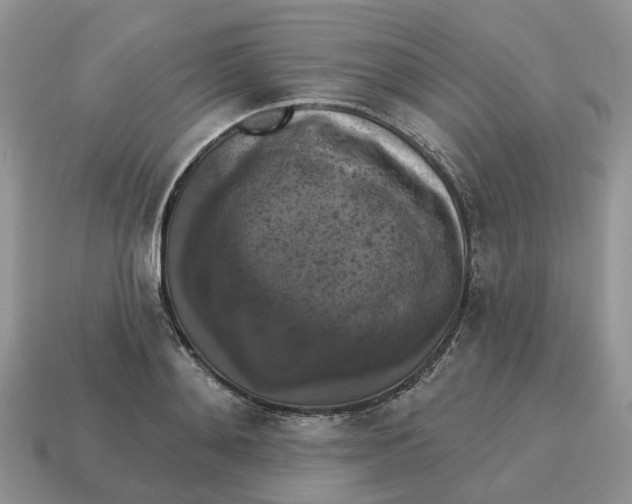 X0000114580892200911091233