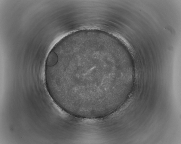 X0000114580894200911091233