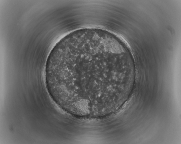 X0000114580895200911091233