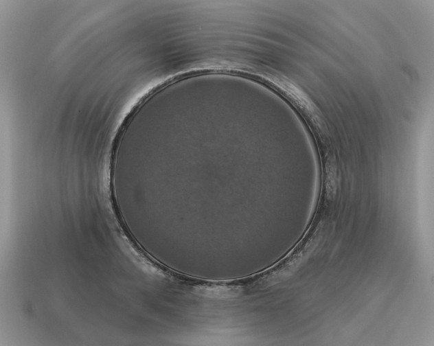 X0000114580896200911091233