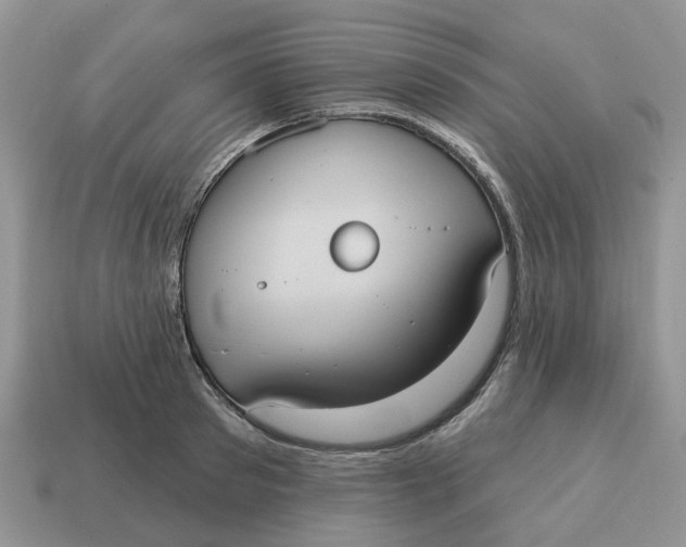 X0000114580897200911091233