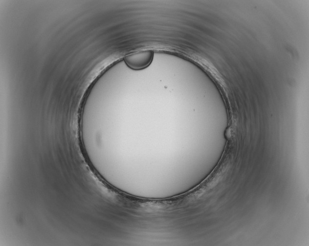 X0000114580898200911091233