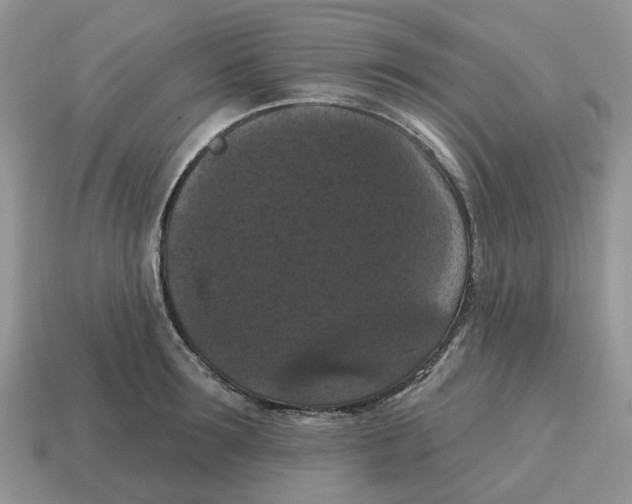 X0000114580899200911091233