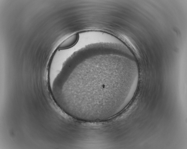 X0000114580900200911091233