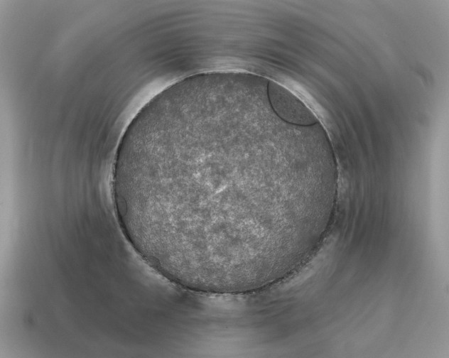 X0000114580901200911091233