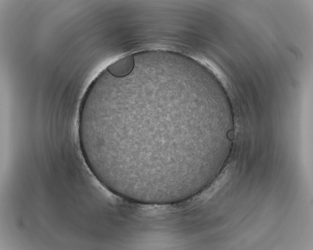 X0000114580902200911091233