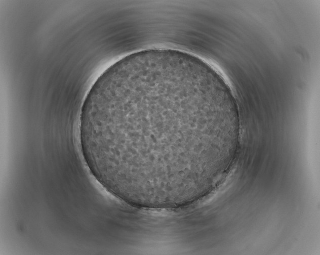 X0000114580903200911091233