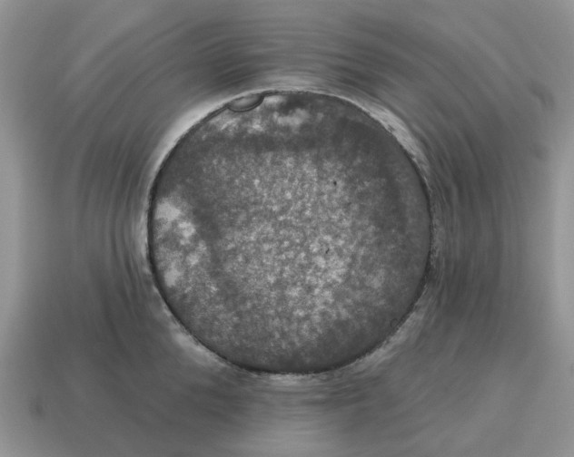 X0000114580904200911091233