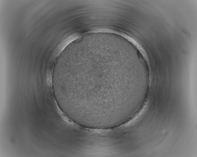 X0000114580905200911091233