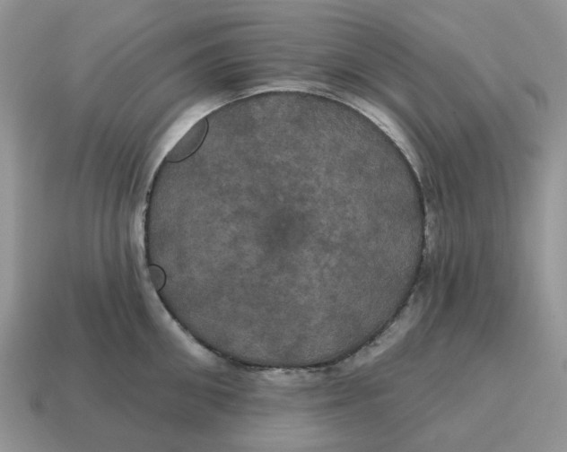 X0000114580906200911091233