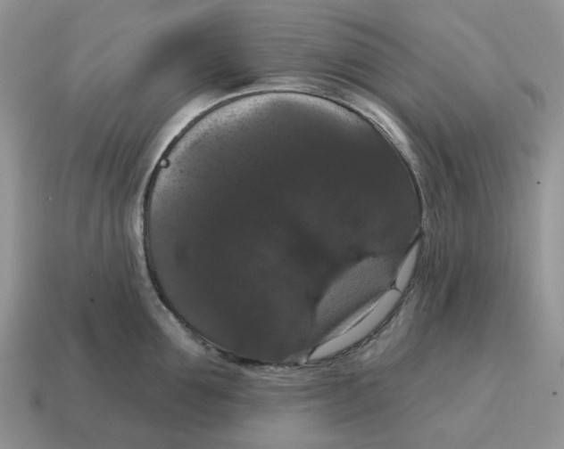 X0000114580907200911091233