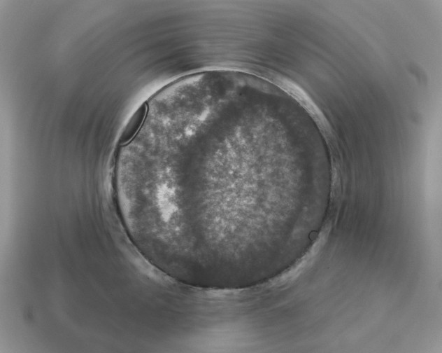 X0000114580908200911091233