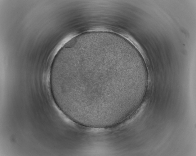 X0000114580909200911091233