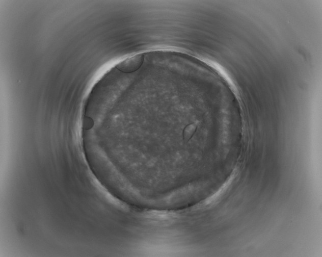 X0000114580910200911091233