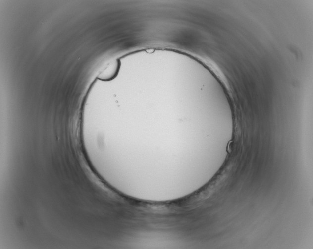 X0000114580911200911091233