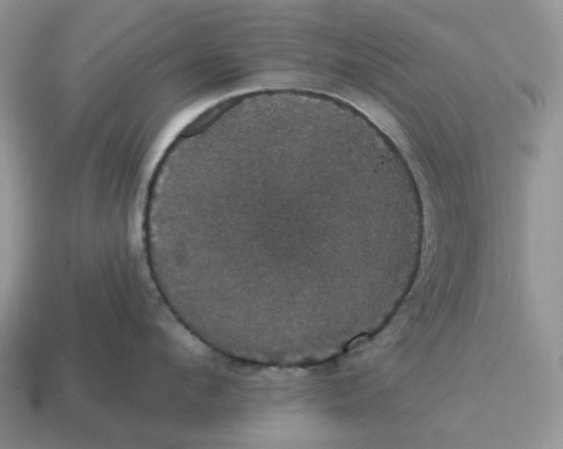 X0000114580912200911091233