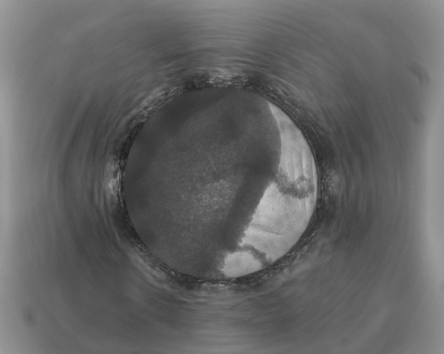 X0000114580914200911091232