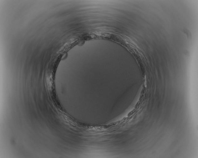 X0000114580915200911091232