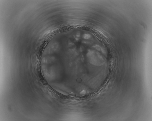 X0000114580917200911091232