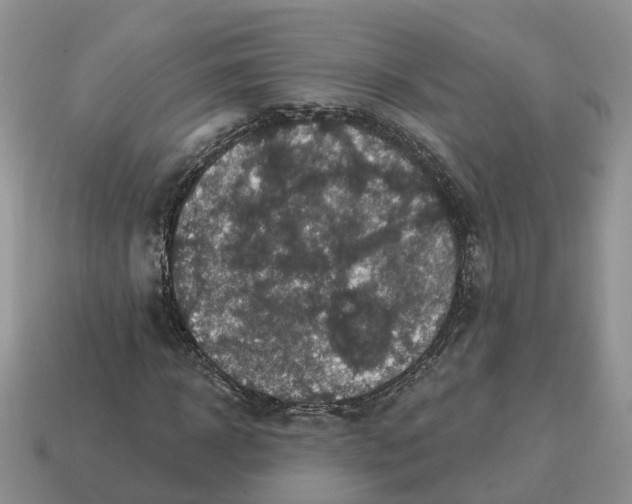 X0000114580918200911091232