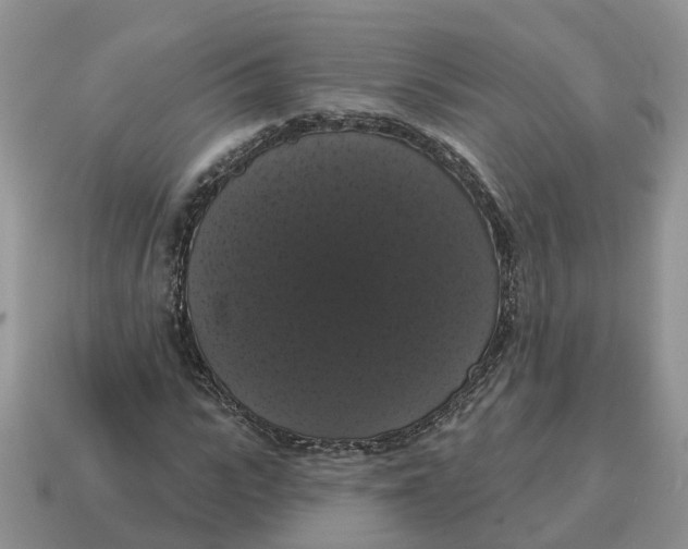 X0000114580919200911091232