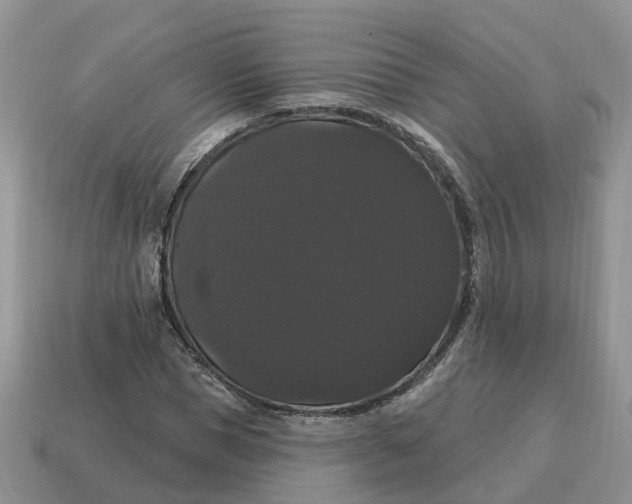 X0000114580921200911091233