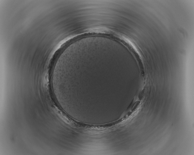 X0000114580923200911091233