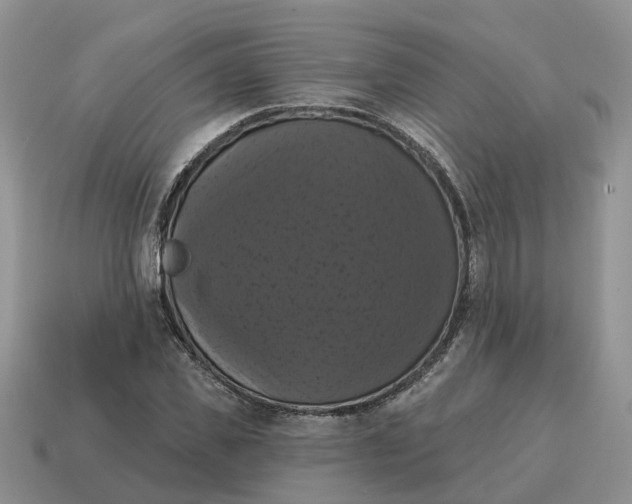 X0000114580925200911091233