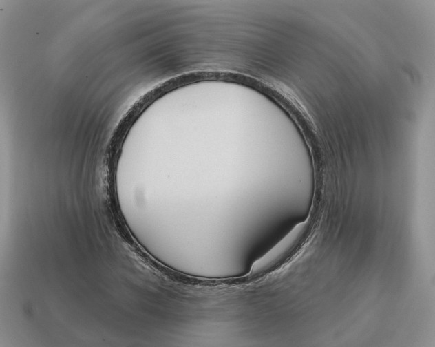 X0000114580926200911091233