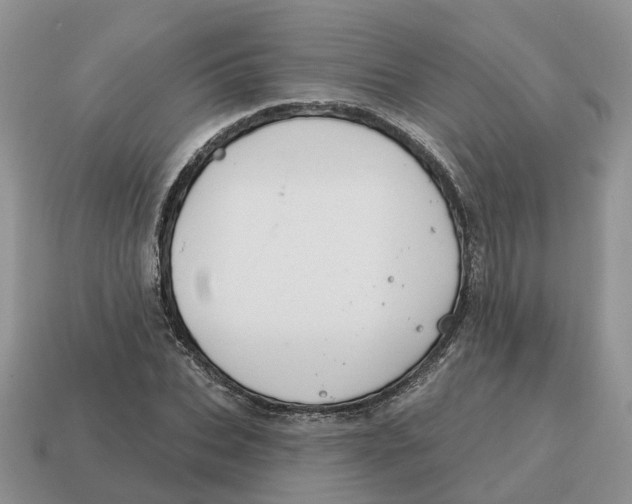 X0000114580927200911091233