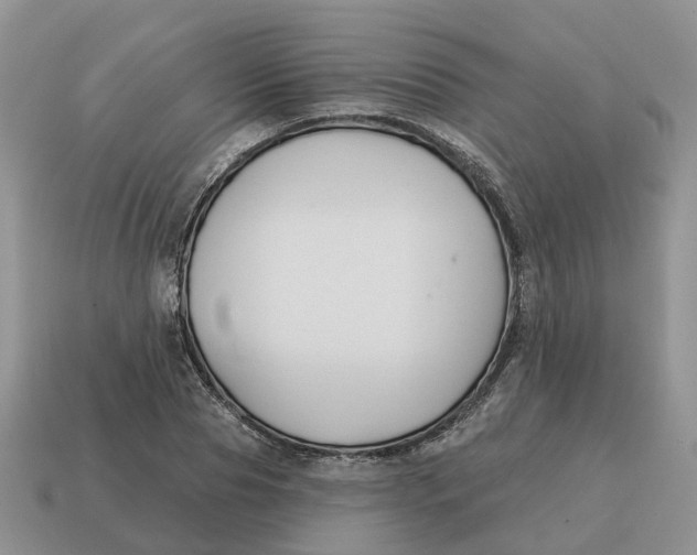 X0000114580929200911091233