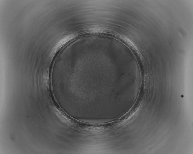 X0000114580930200911091233