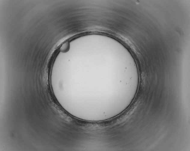 X0000114580931200911091233