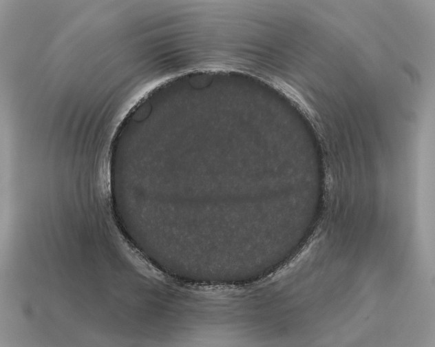 X0000114580934200911091233