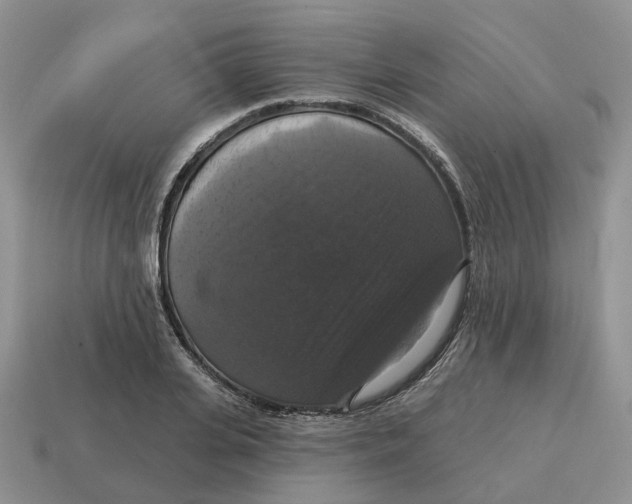 X0000114580935200911091233