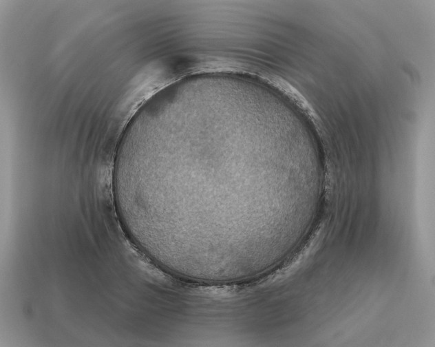 X0000114580937200911091233