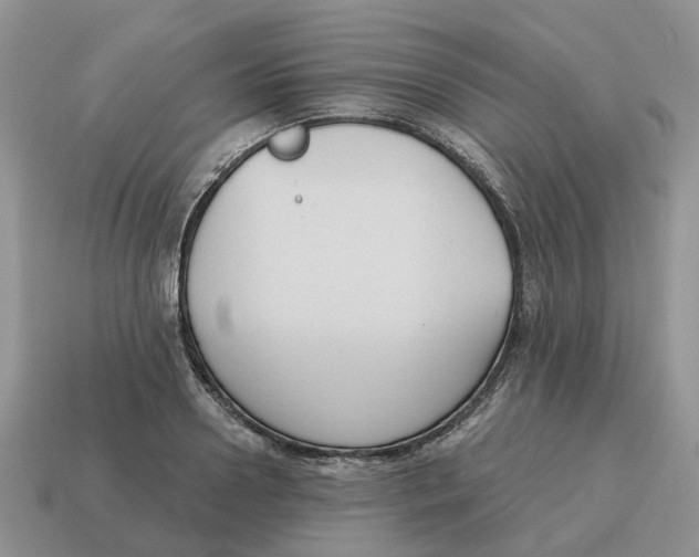 X0000114580938200911091233