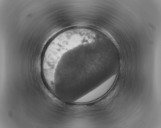 X0000114580939200911091233