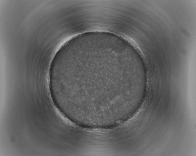 X0000114580942200911091233