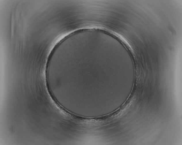 X0000114580943200911091233