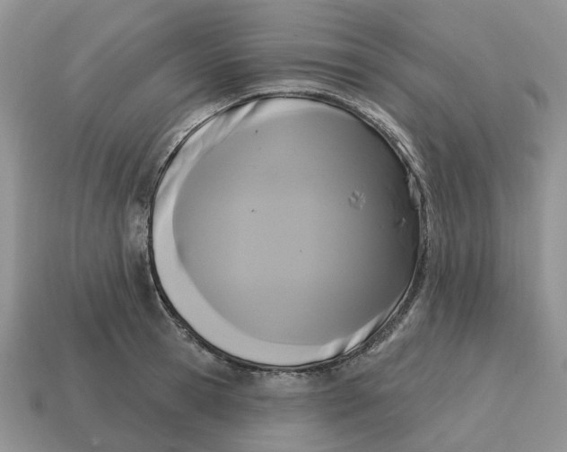 X0000114580945200911091233