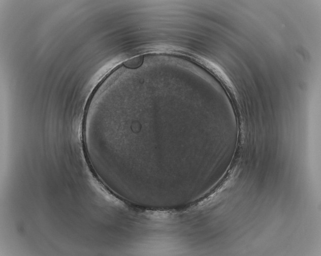 X0000114580946200911091233